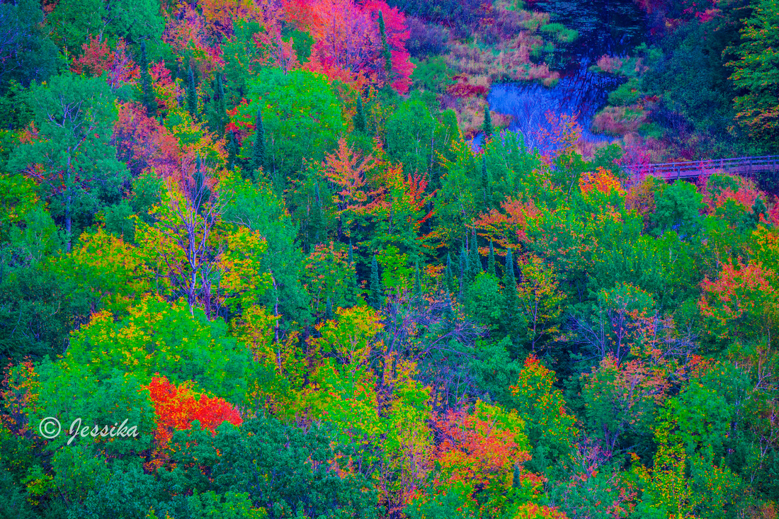 Lake of the Clouds is a lake located in Ontonagon County in the Upper Peninsula of the U.S. state of Michigan within the Porcupine Mountains Wilderness State Park. The lake is situated in a valley between two ridges in the Porcupine Mountains.