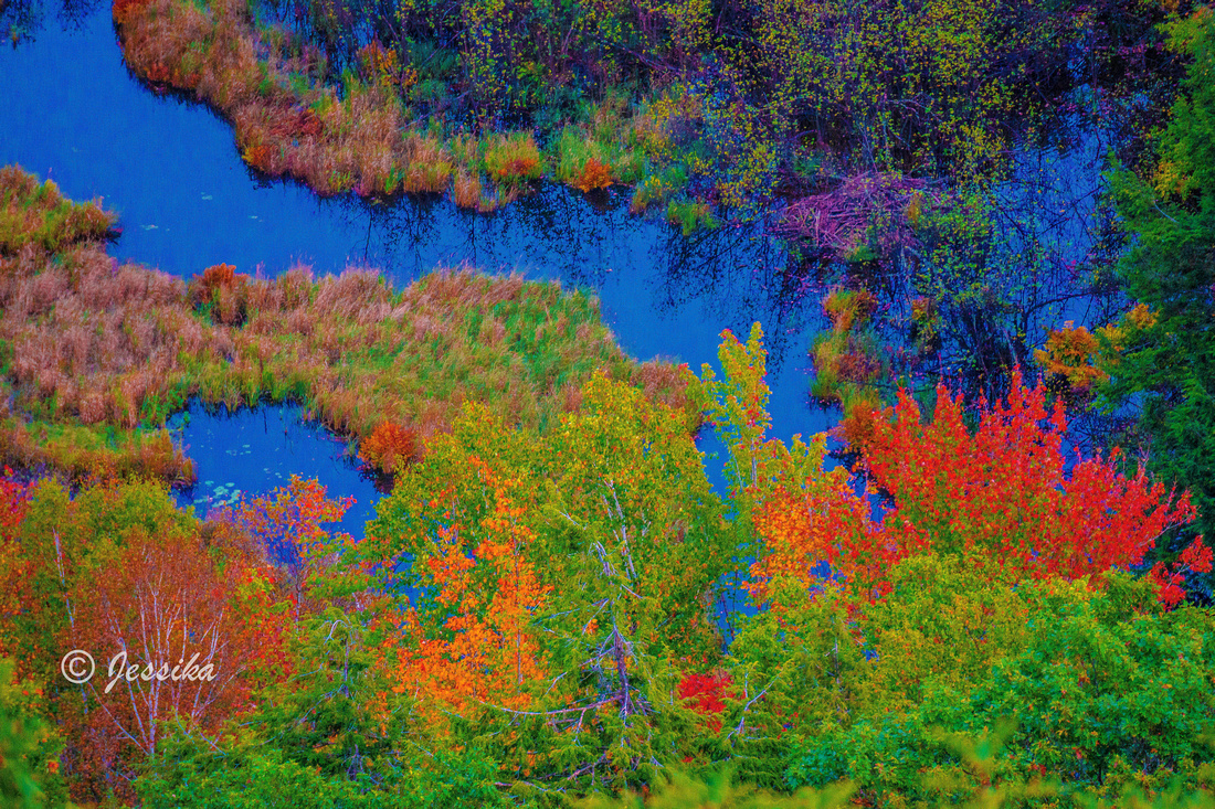 Lake of the Clouds is a lake located in Ontonagon County in the Upper Peninsula of the U.S. state of Michigan within the Porcupine Mountains Wilderness State Park. The lake is situated in a valley between two ridges in the Porcupine Mountains.