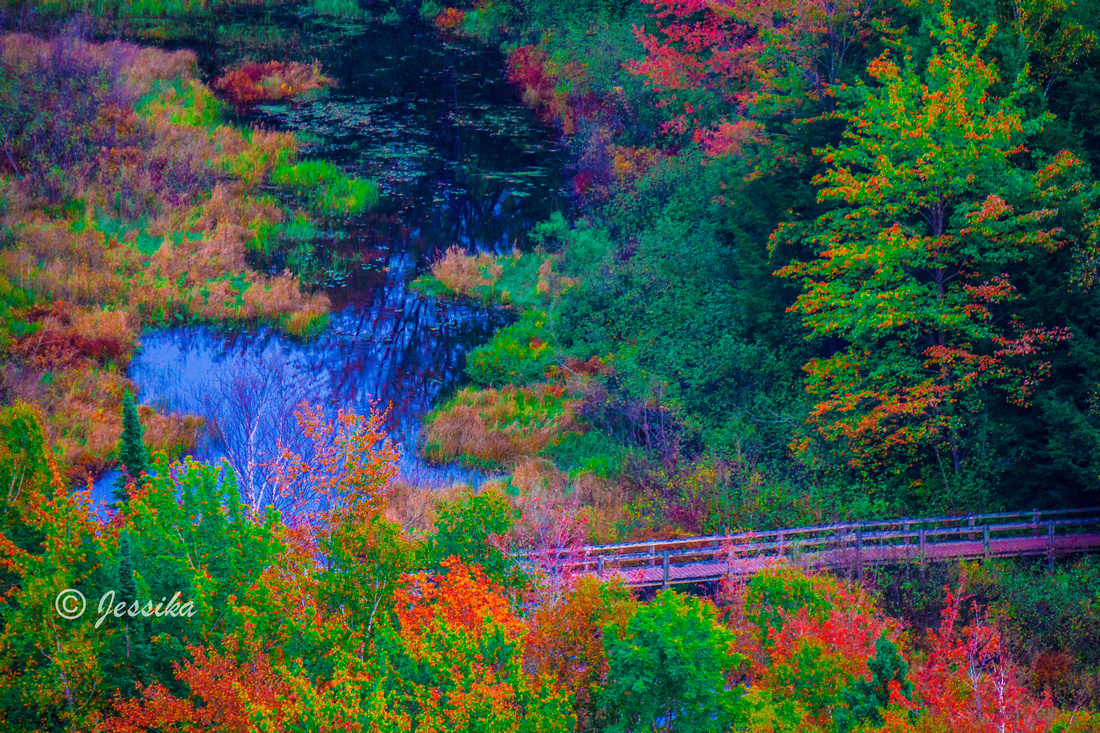 Lake of the Clouds is a lake located in Ontonagon County in the Upper Peninsula of the U.S. state of Michigan within the Porcupine Mountains Wilderness State Park. The lake is situated in a valley between two ridges in the Porcupine Mountains.