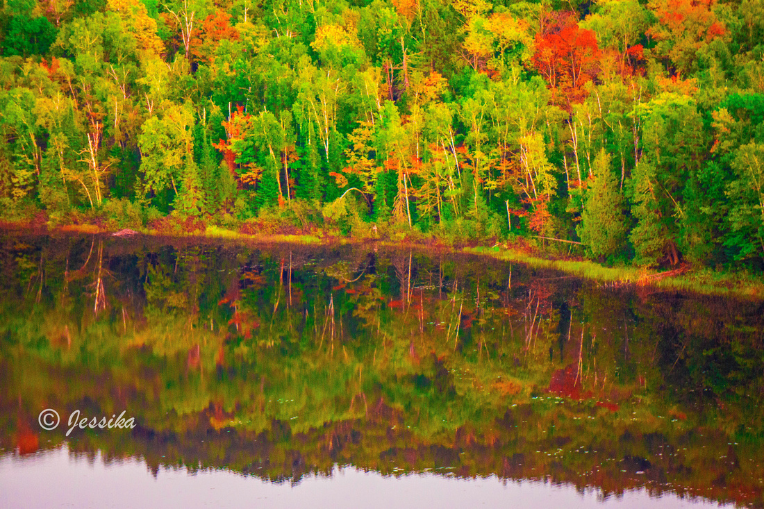 Lake of the Clouds is a lake located in Ontonagon County in the Upper Peninsula of the U.S. state of Michigan within the Porcupine Mountains Wilderness State Park. The lake is situated in a valley between two ridges in the Porcupine Mountains.